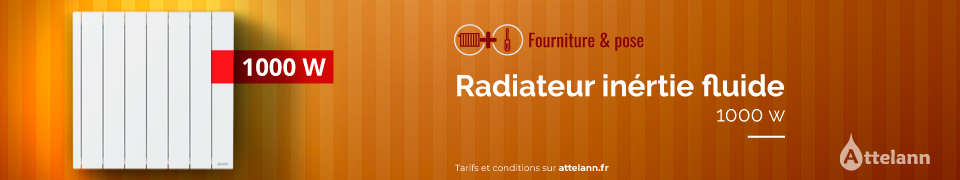 Radiateur fluide 1000W - 250€